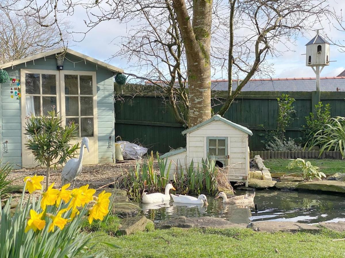 The Duck House