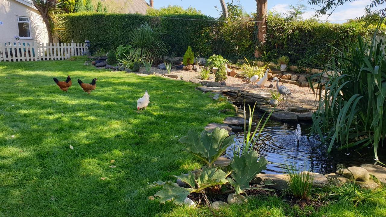 The Duck House Apartment