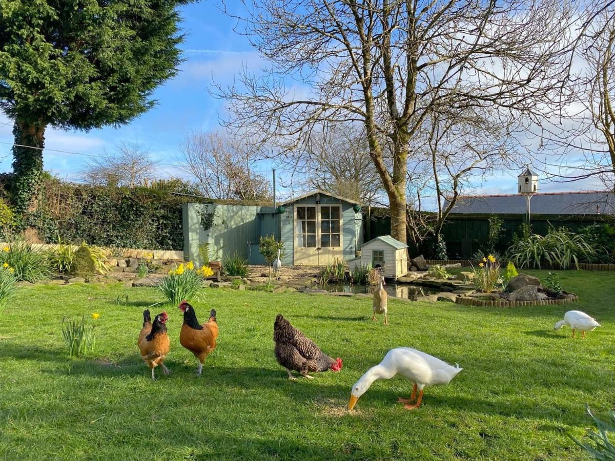 The Duck House * Swansea